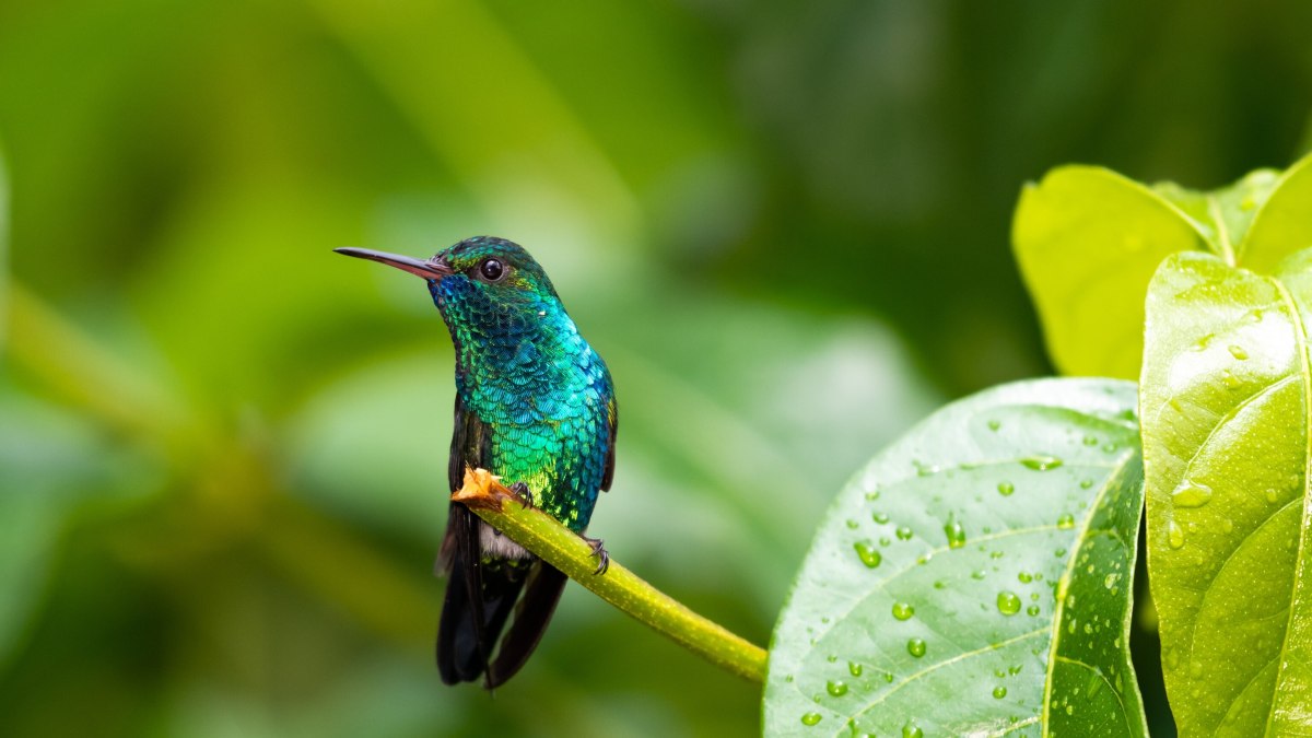 7 unmissable outdoor adventures in Trinidad and Tobago 7 unmissable outdoor adventures in Trinidad and Tobago