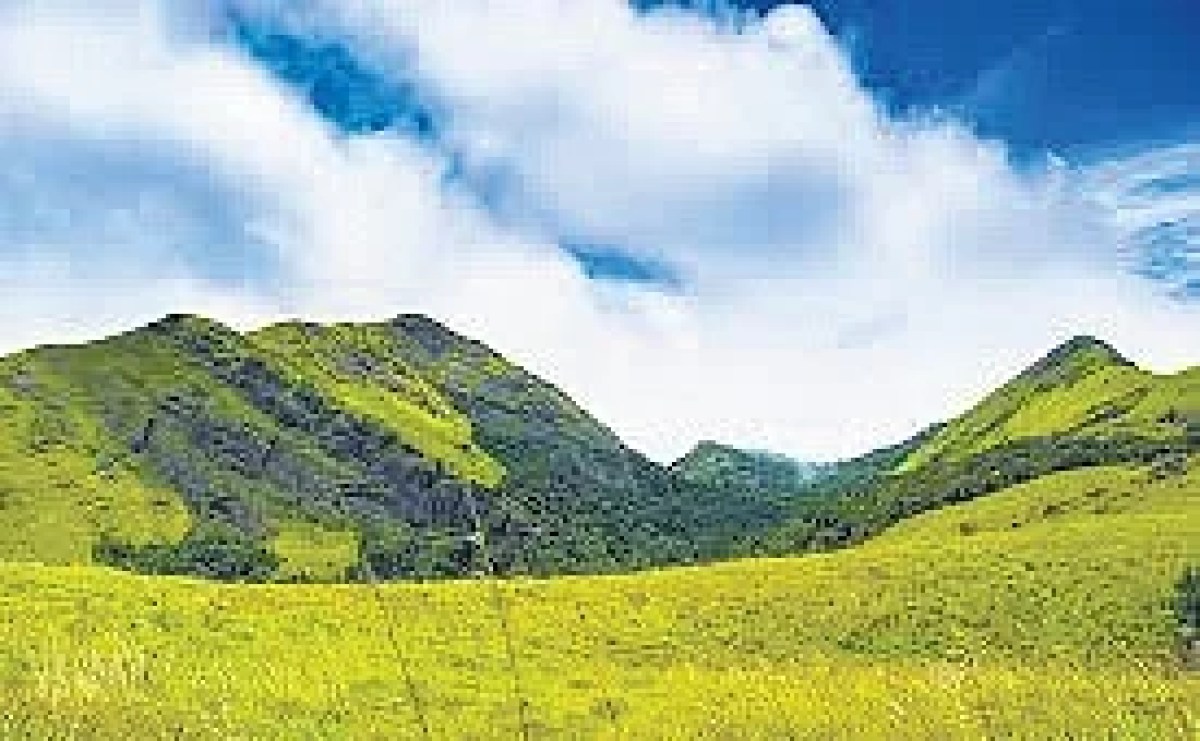 Fodor’s travel guide places Kerala on its ‘No List 2025’ Fodor’s travel guide places Kerala on its ‘No List 2025’