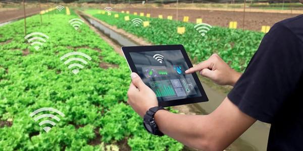 User System Of Digital Farming Technology User System Of Digital Farming Technology