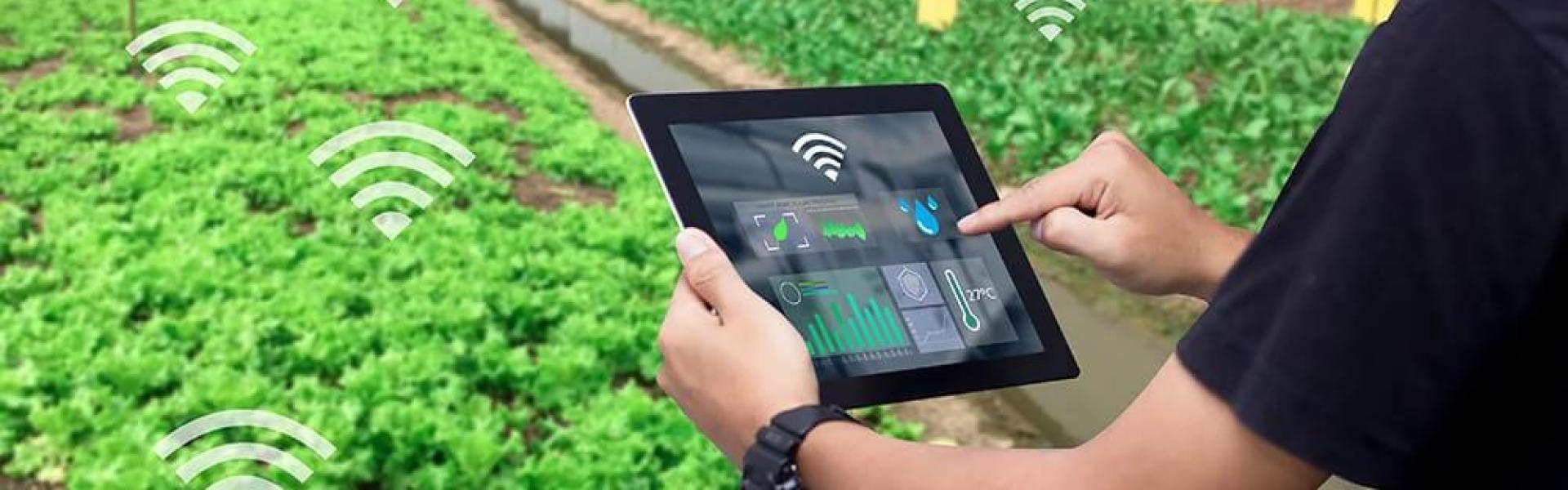 User System Of Digital Farming Technology User System Of Digital Farming Technology