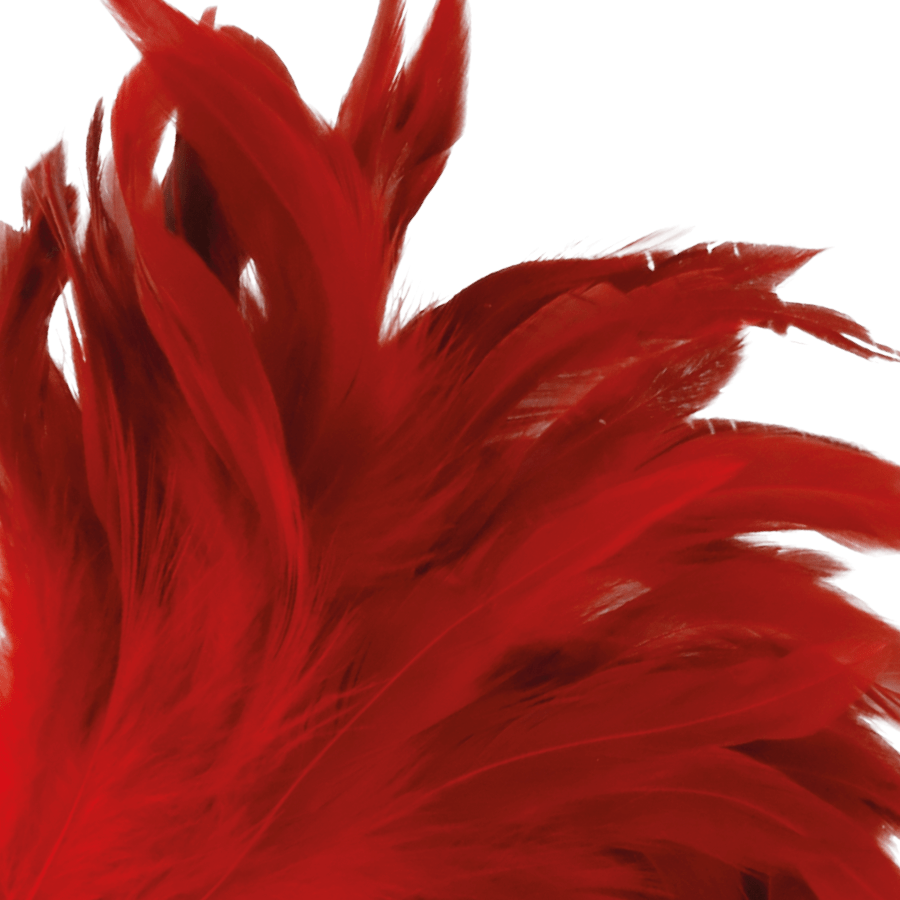 DARKNESS – STYLO STIMULANT ROUGE 24CM