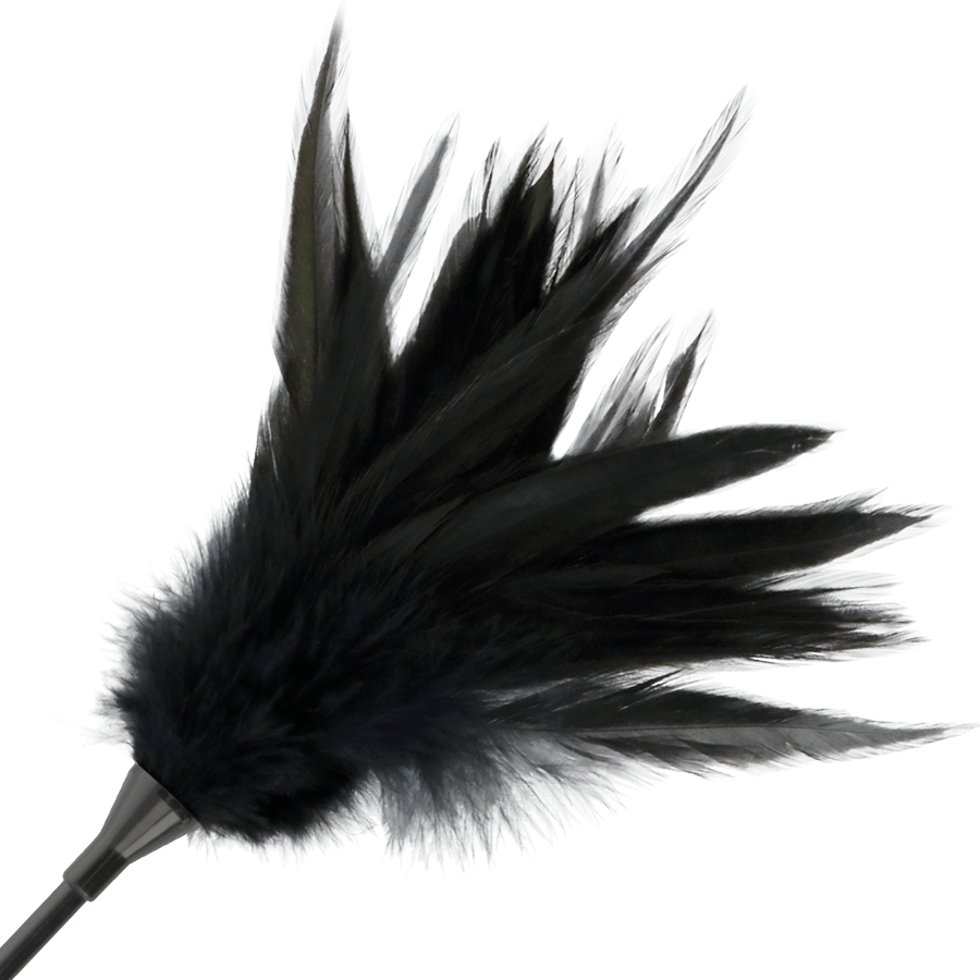 DARKNESS – FOUET À PLUMES NOIRES