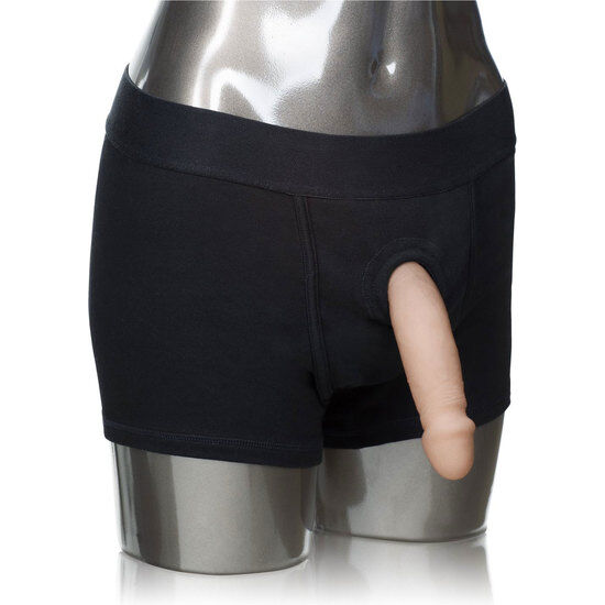 CALEXOTICS – HARNAIS BOXER
