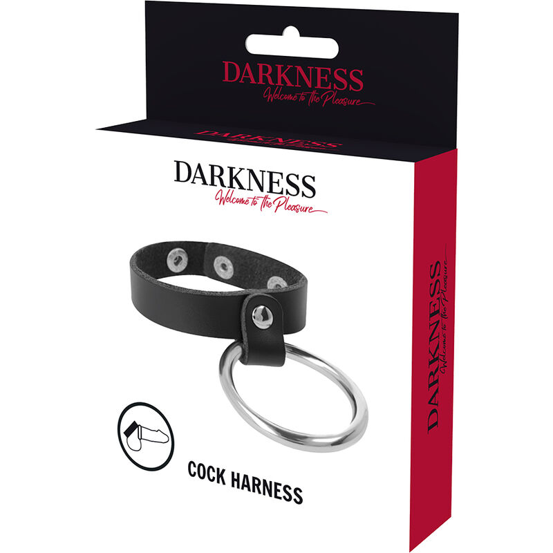 DARKNESS – ANNEAU MÉTALLIQUE POUR LE PÉNIS ET LES TESTICULES