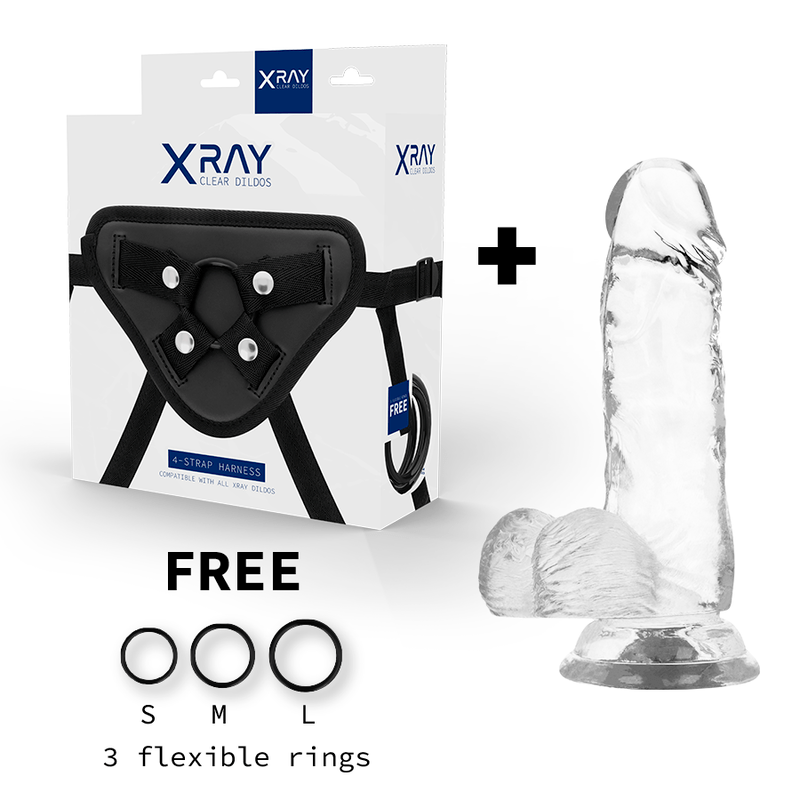 X RAY – HARNAIS + BITE TRANSPARENT AVEC BILLES 15.5 CM -O- 3.5 CM