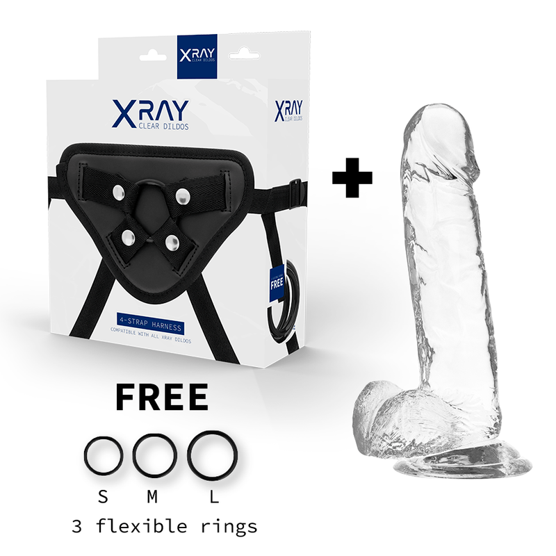 X RAY – HARNAIS + BITE TRANSPARENT AVEC BILLES 20 CM -O- 4.5 CM