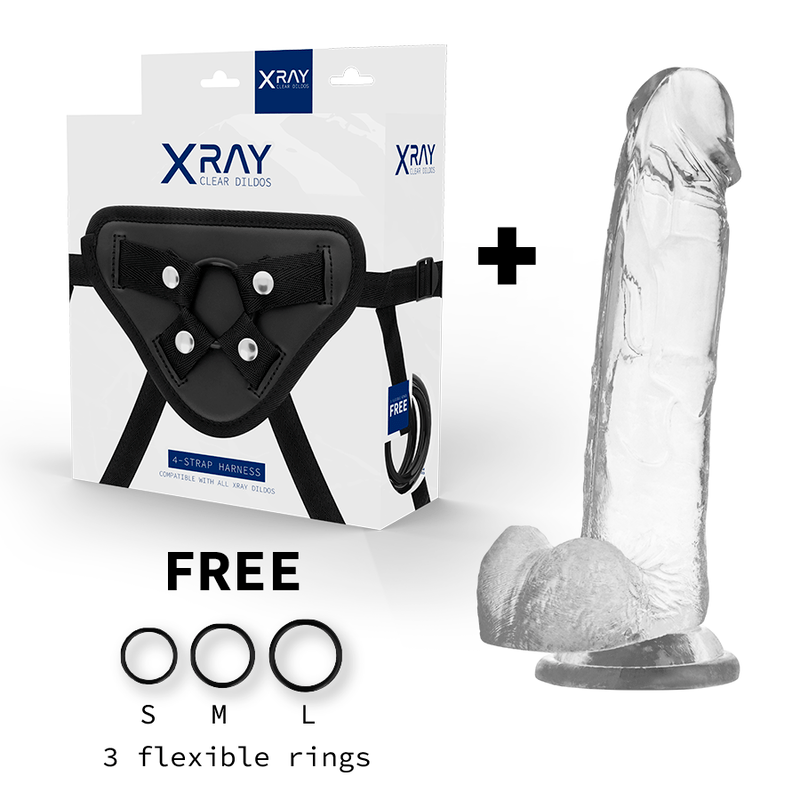 X RAY – HARNAIS + BITE AVEC BOULES 22 CM -O- 4.6 CM