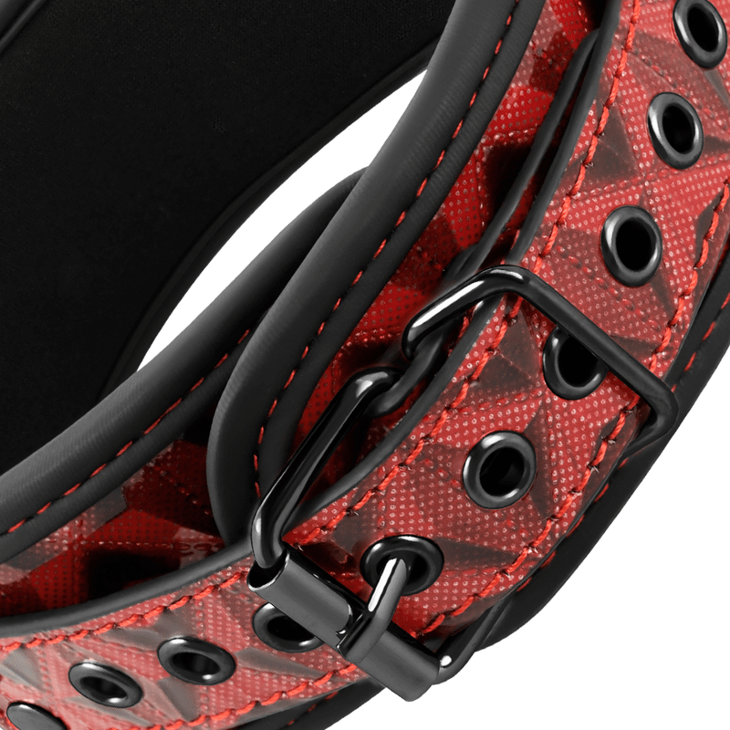 BEGME – COLLIER ÉDITION ROUGE AVEC PINCES  TÉLÉMON AVEC DOUBLURE EN NÉOPRÈNE