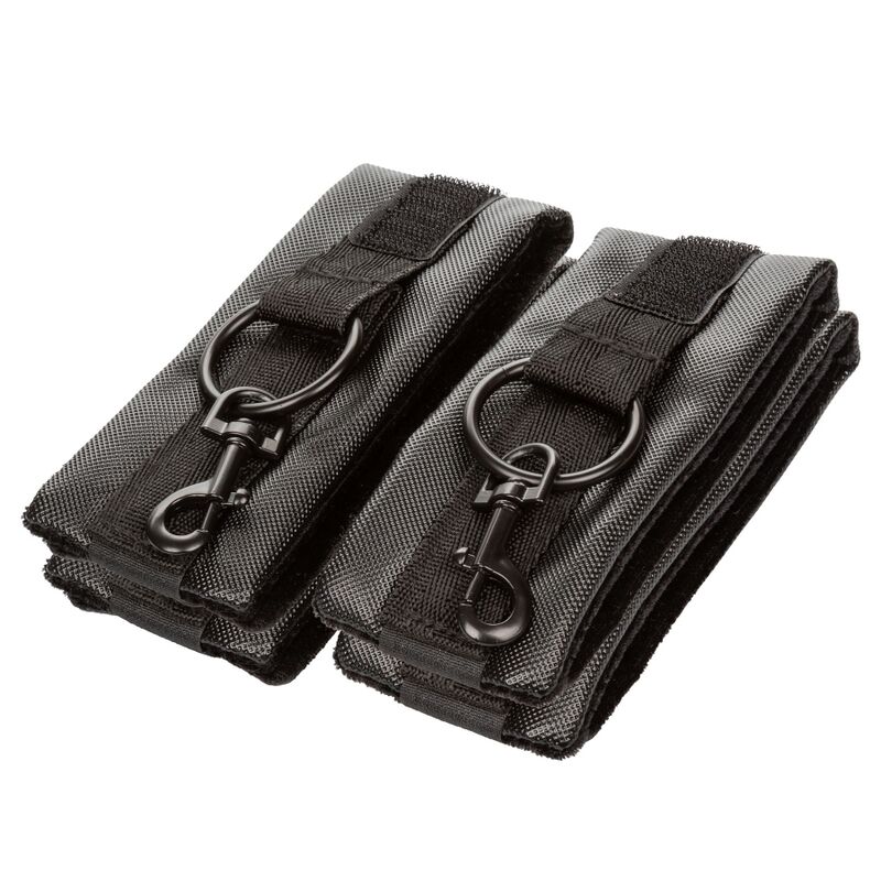 CALEXOTICS – CRAVATE DE PORC SANS LIMITES
