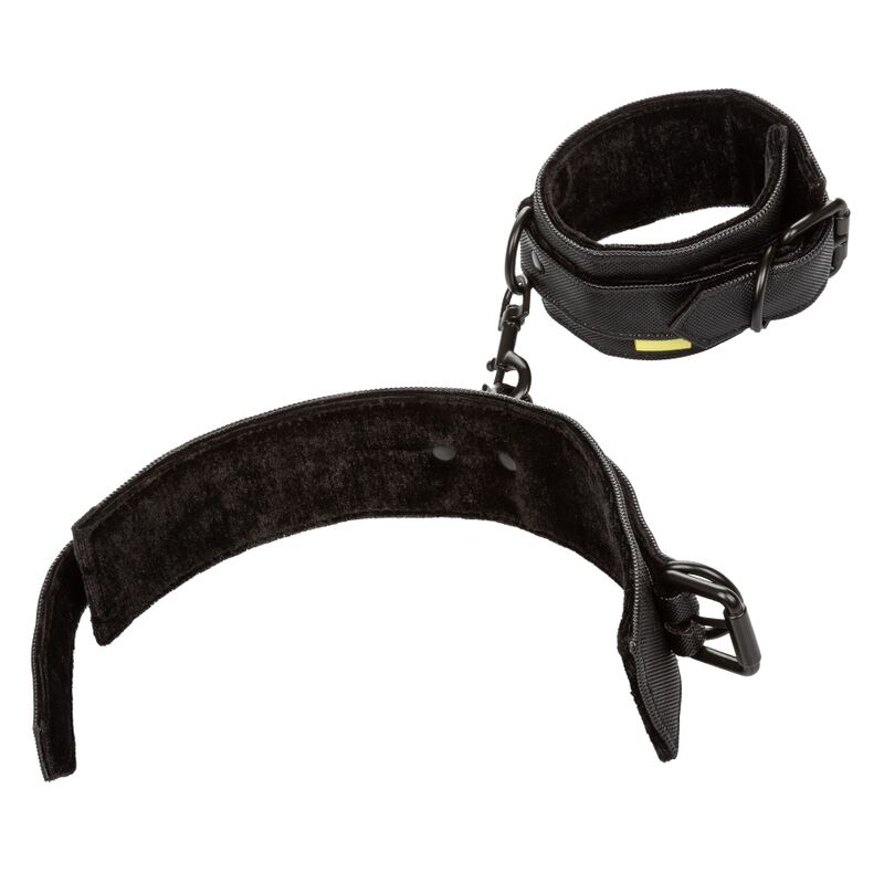 CALEXOTICS – CHEVILLES SANS LIMITES