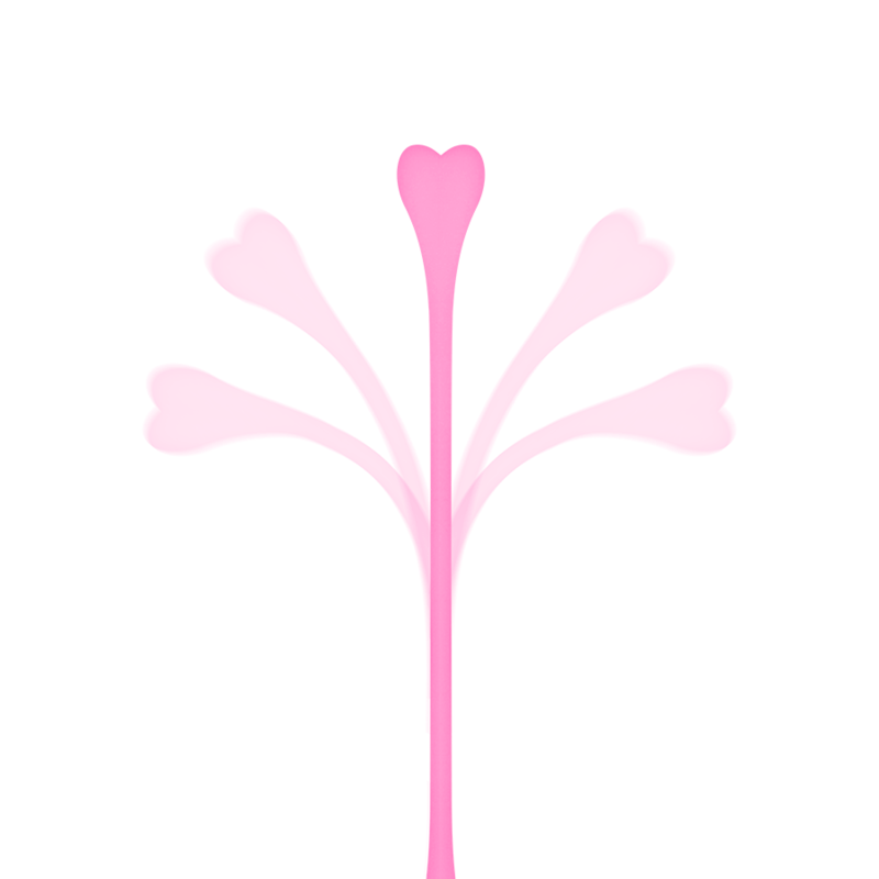 OHMAMA – ENSEMBLE DE 5 BALLES DEXERCICE KEGEL