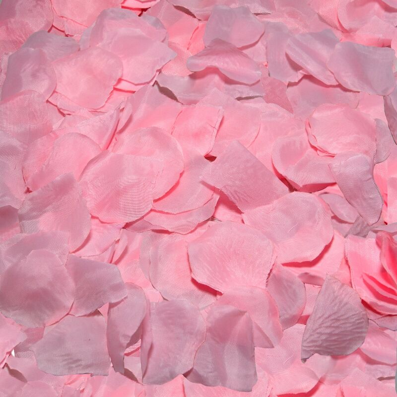 DIABLO PICANTE – 100 PÉTALES ROSES