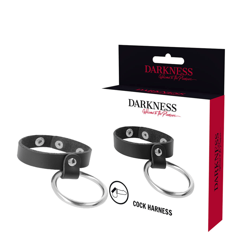 DARKNESS – ANNEAU MÉTALLIQUE POUR LE PÉNIS ET LES TESTICULES
