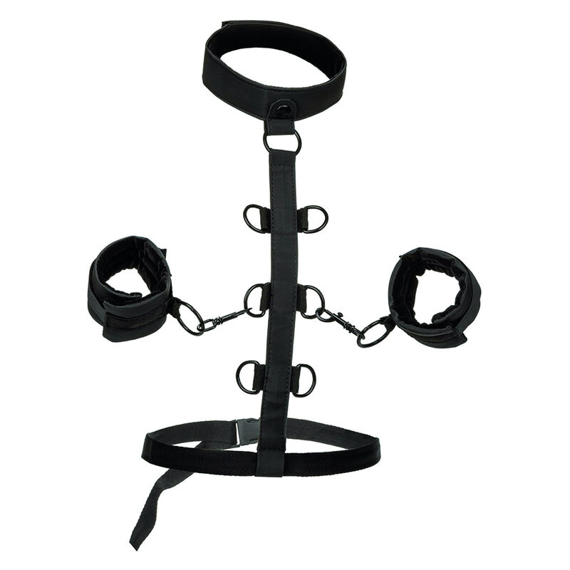 CALEXOTICS – BOUNDLESS COLLIER DE RETENUE