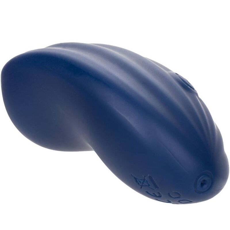 CALEXOTICS – CASHMERE VELOURS CURVE BLEU