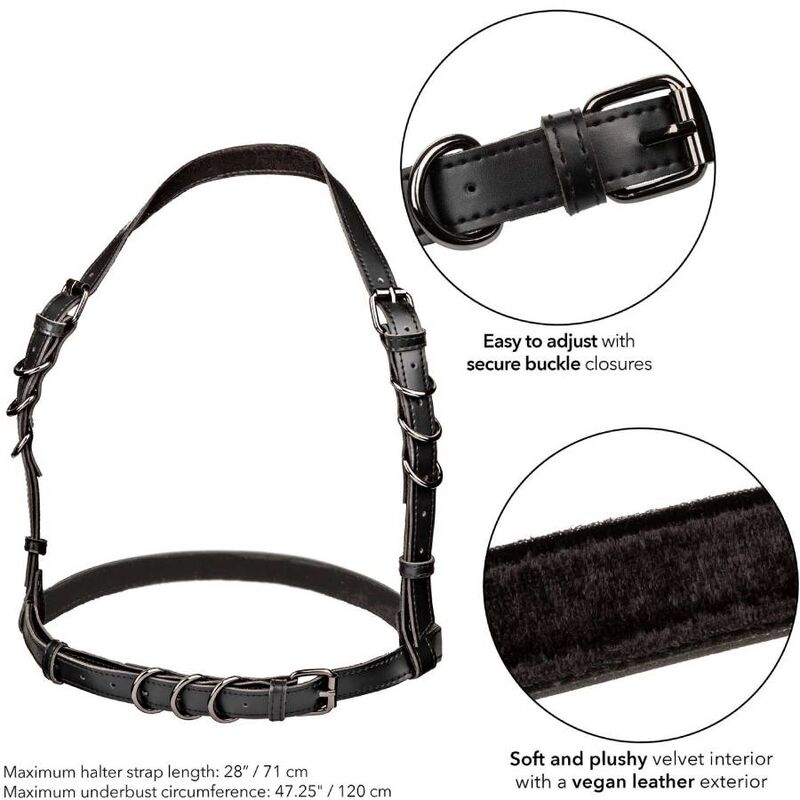 CALEXOTICS – EUPHORIA HARNAIS BOUCLE LICOL TAILLE PLUS NOIR