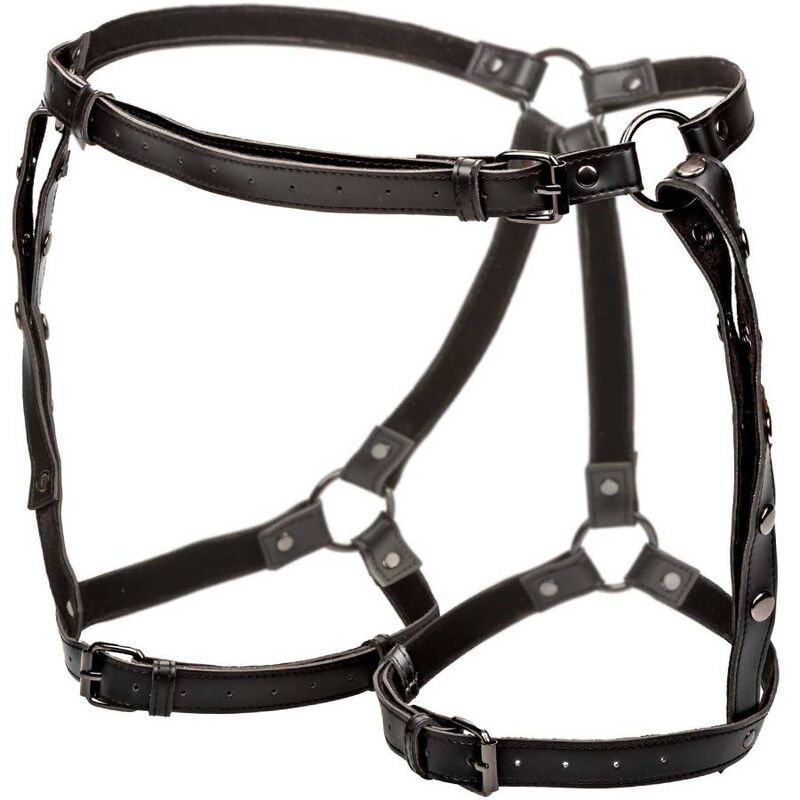 CALEXOTICS – EUPHORIA HARNAIS DE CUISSE DÉQUITATION