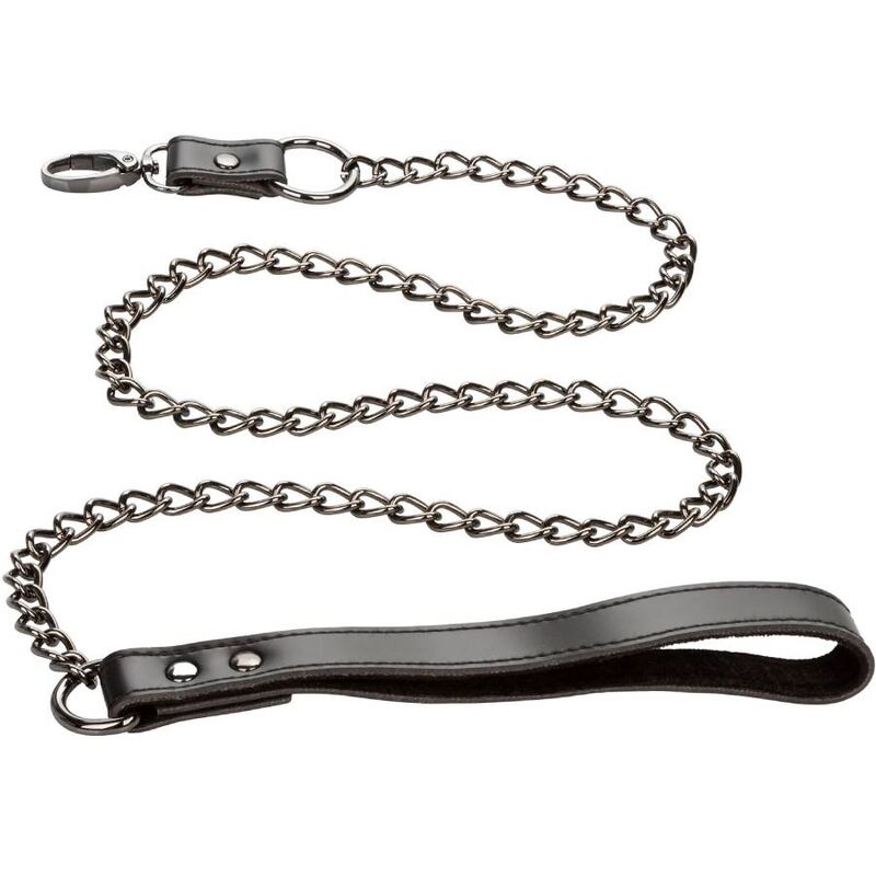 CALEXOTICS – EUPHORIA COLLIER AVEC LAISSE CHAÎNE