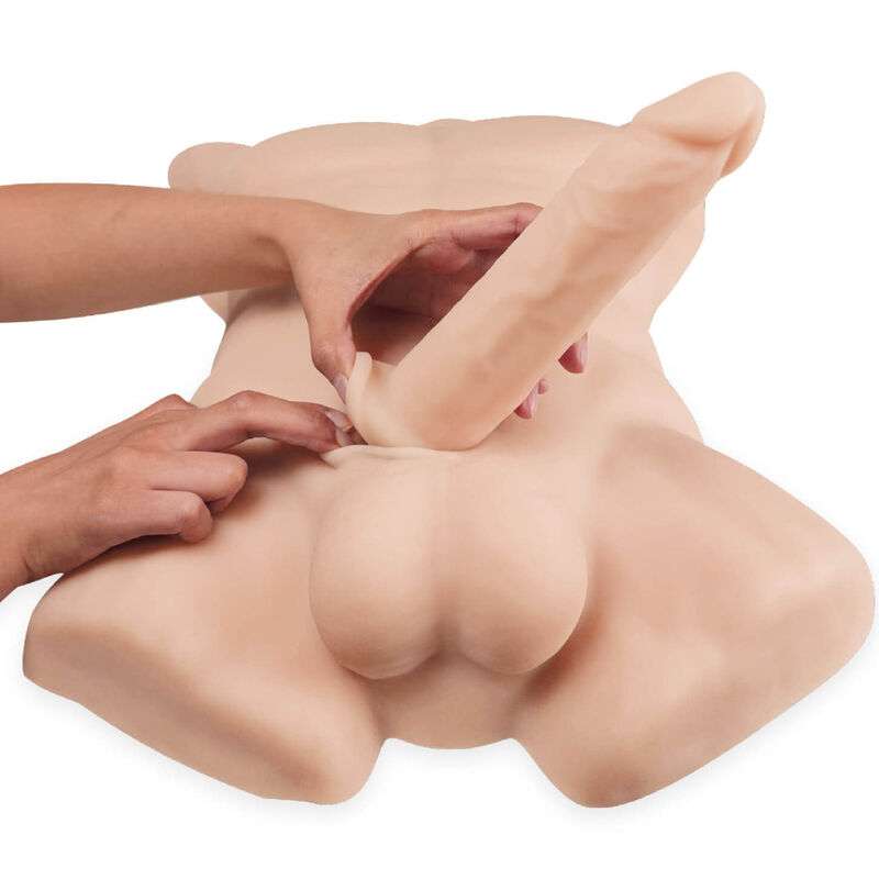 SILEXD – TORSE MASCULIN RÉALISTE APOLLO L
