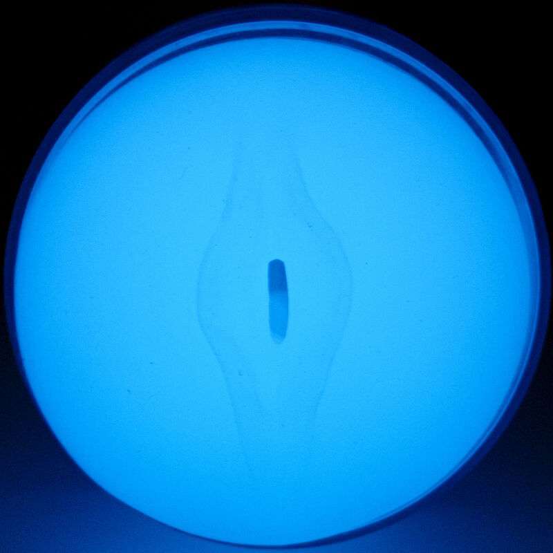 KIIROO – SENTEZ GLOW IN THE DARK STROKER