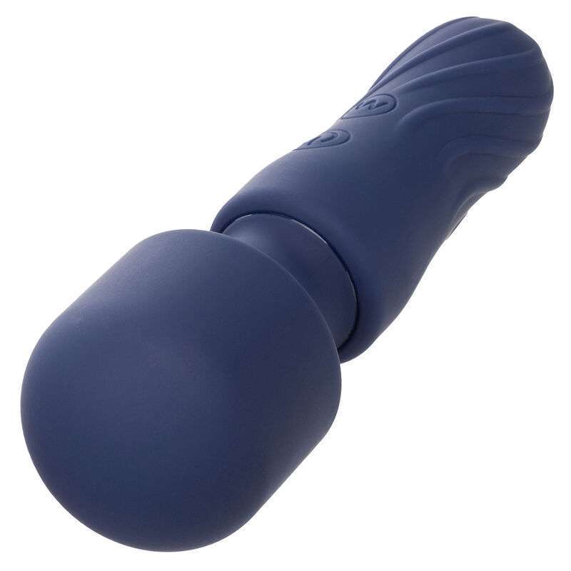 CALEXOTICS – CHARISMA CHARM MASSEUR 12 FONCTIONS VIOLET