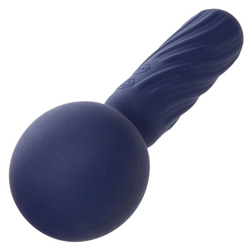 CALEXOTICS – CHARISMA SEDUCTION MASSEUR 12 FONCTIONS 17,75 CM X 6,25 CM VIOLET