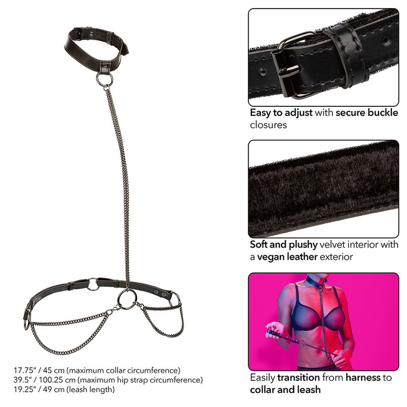 CALEXOTICS – EUPHORIA COLLIER ET LAISSE CHAINE