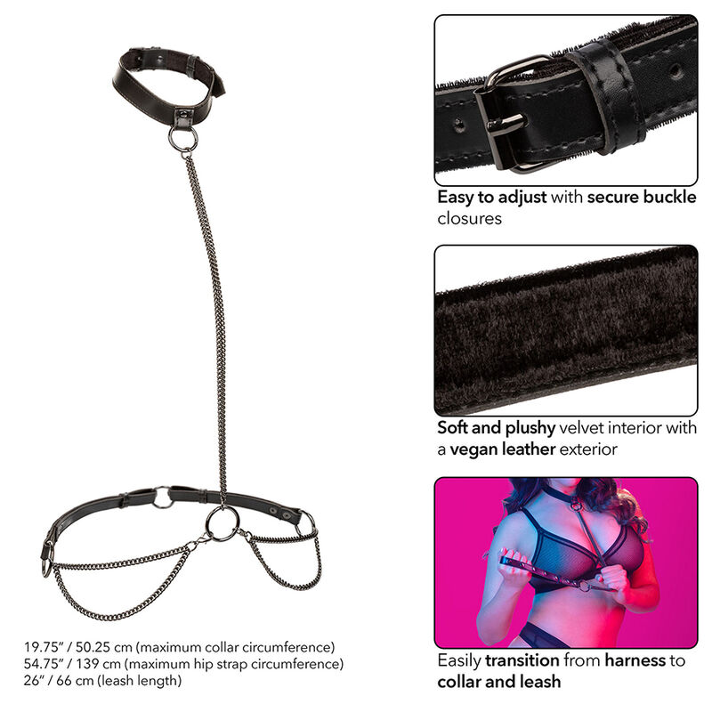 CALEXOTICS – EUPHORIA COLLIER LICOL ET LAISSE GRANDE TAILLE