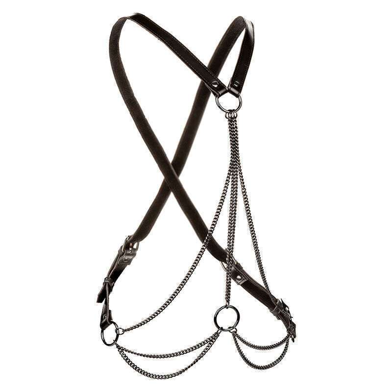 CALEXOTICS – EUPHORIA HARNAIS MULTICHAÎNE PREMIUM GRANDE TAILLE