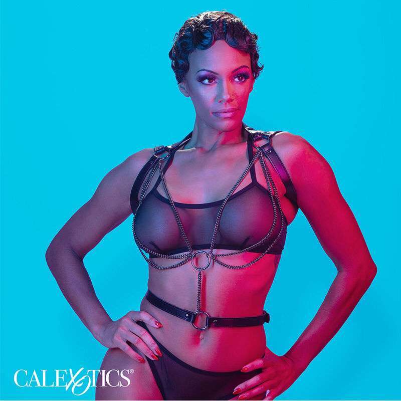 CALEXOTICS – EUPHORIA HARNAIS LICOL MULTICHAÎNES PREMIUM
