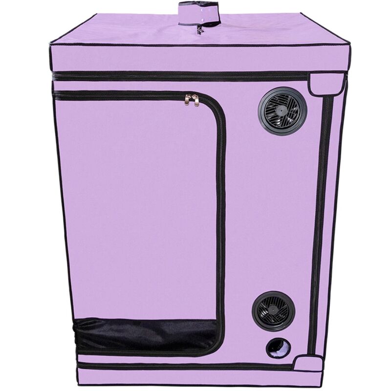 SECRET DOME – KINK CLUB CABINE SCANDALE PURPLE