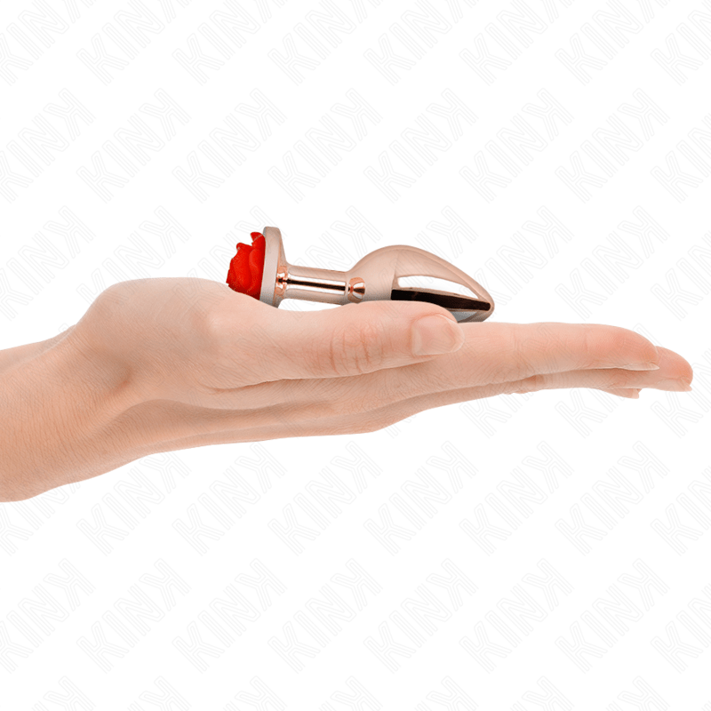 KINK – PLUG ANAL OR ROSE AVEC ROSE ROUGE S