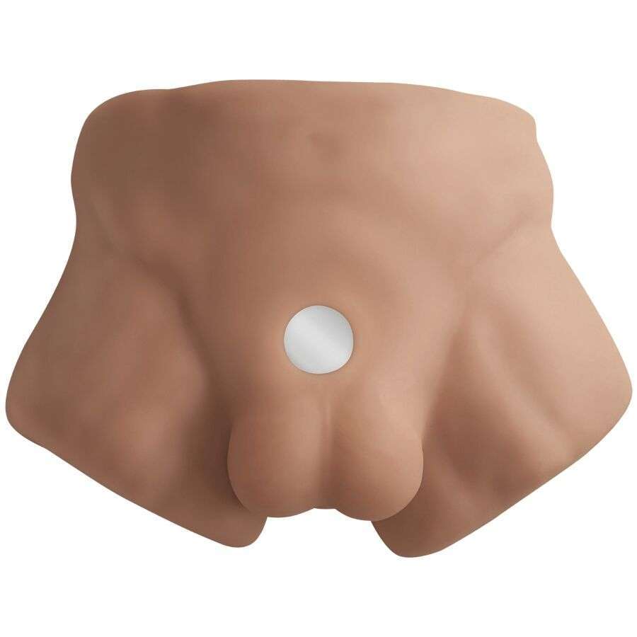 SILEXD – TORSE DHOMME RÉALISTE APOLLO S CARAMEL