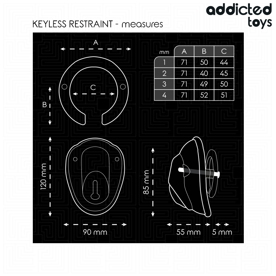ADDICTED TOYS LOCKED – À PÉNIS VERROUILLÉE SANS CLÉ 11,5 CM