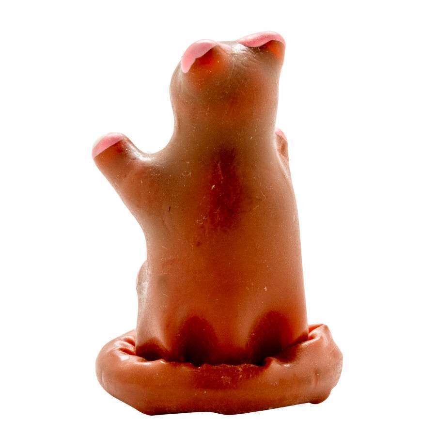 CONDOMERIE – PRÉSERVATIFS FANTAISIE PEINTS À LA MAIN OURS EN PELUCHE