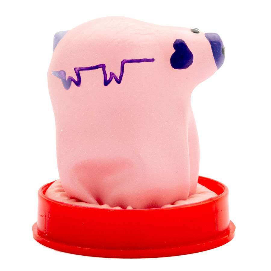 CONDOMERIE – PRÉSERVATIFS FANTAISIE PEINTS À LA MAIN PETIT COCHON