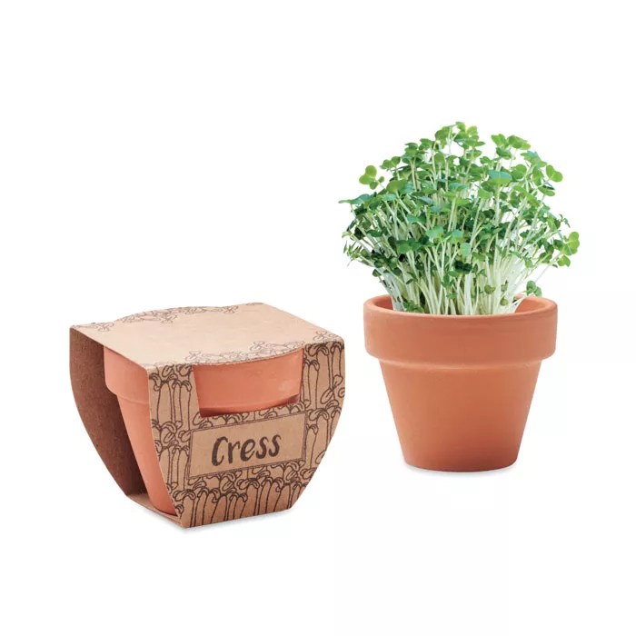 CRESS POT – Bois