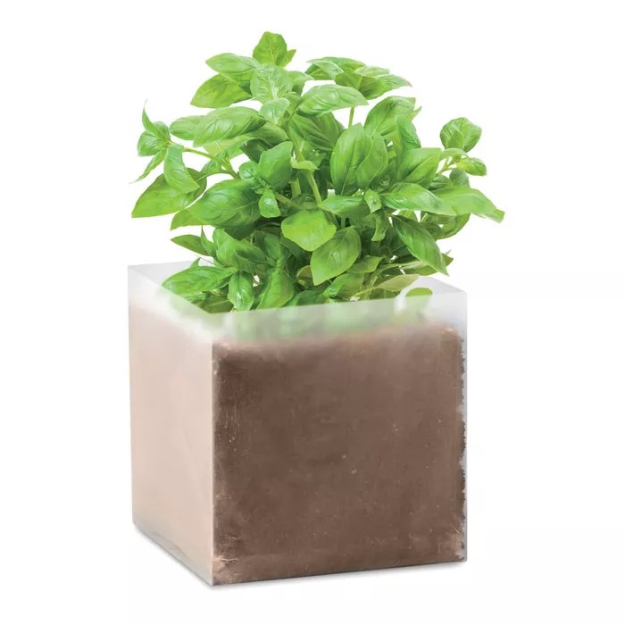 BASIL – Beige