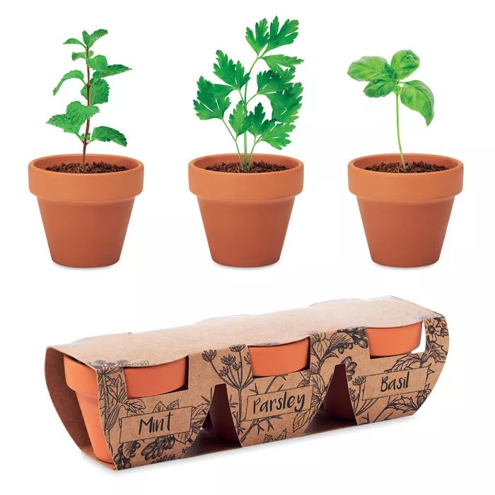 FLOWERPOT – Bois