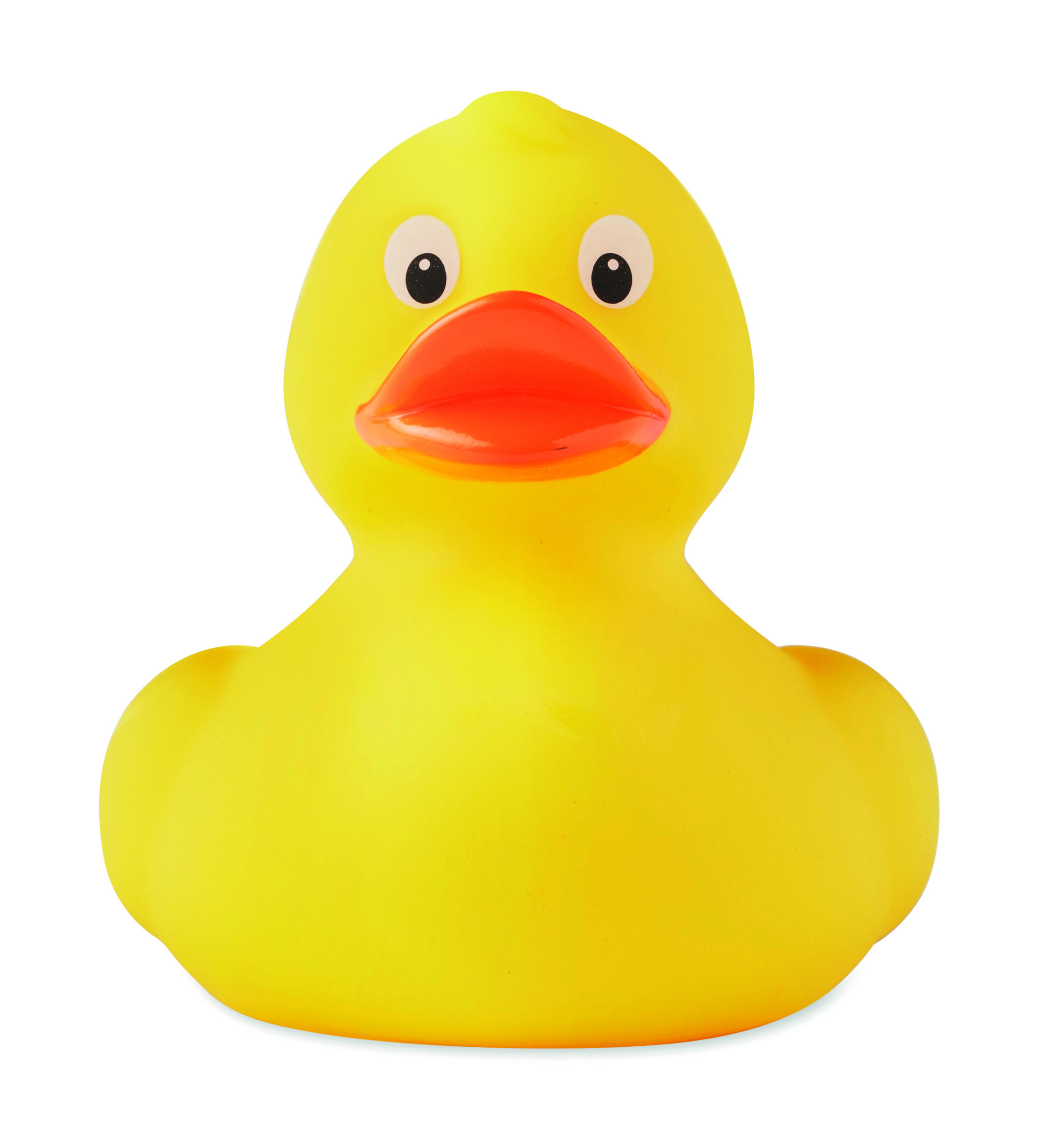 Canard en PVC.