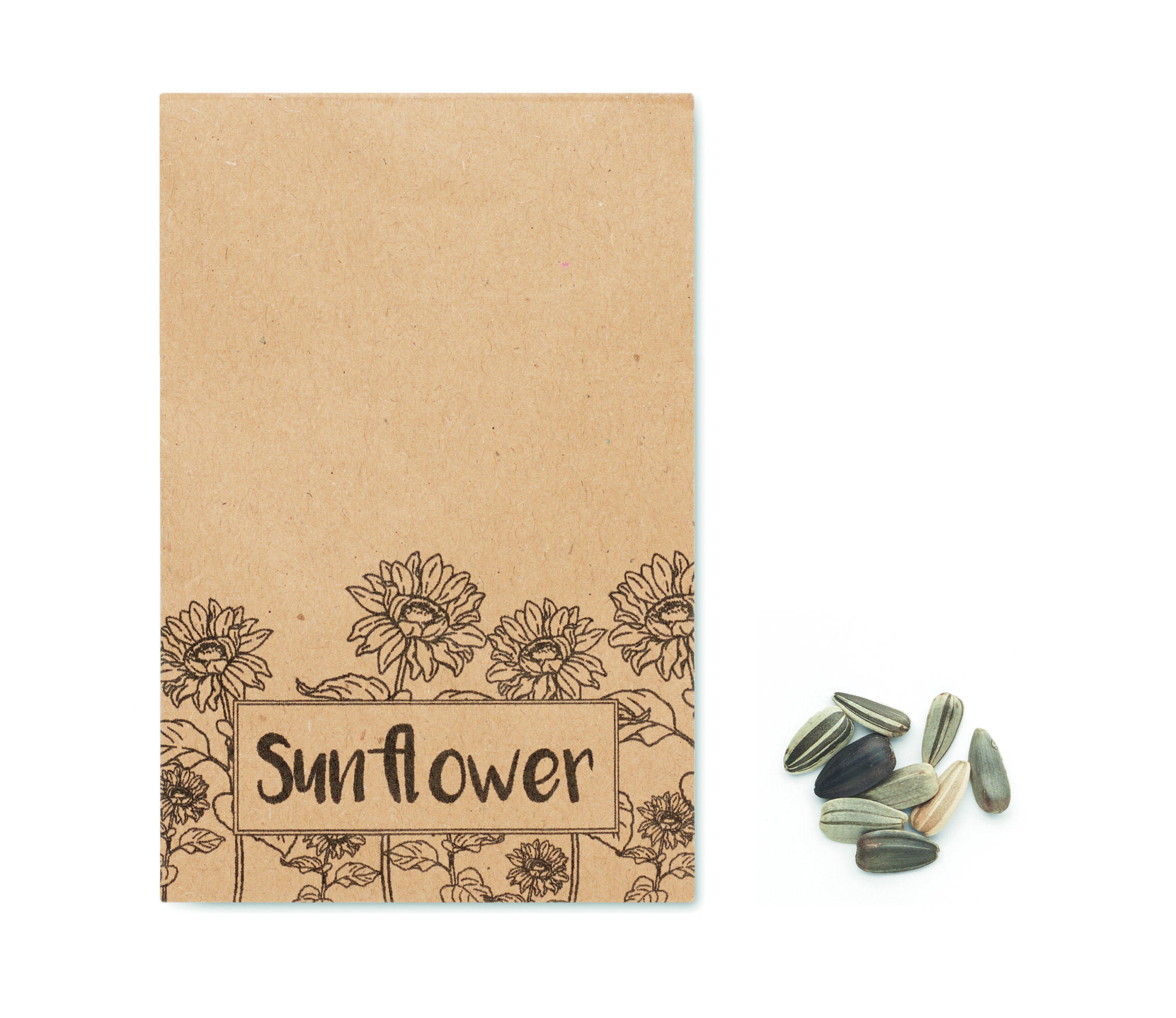 Graines de tournesol