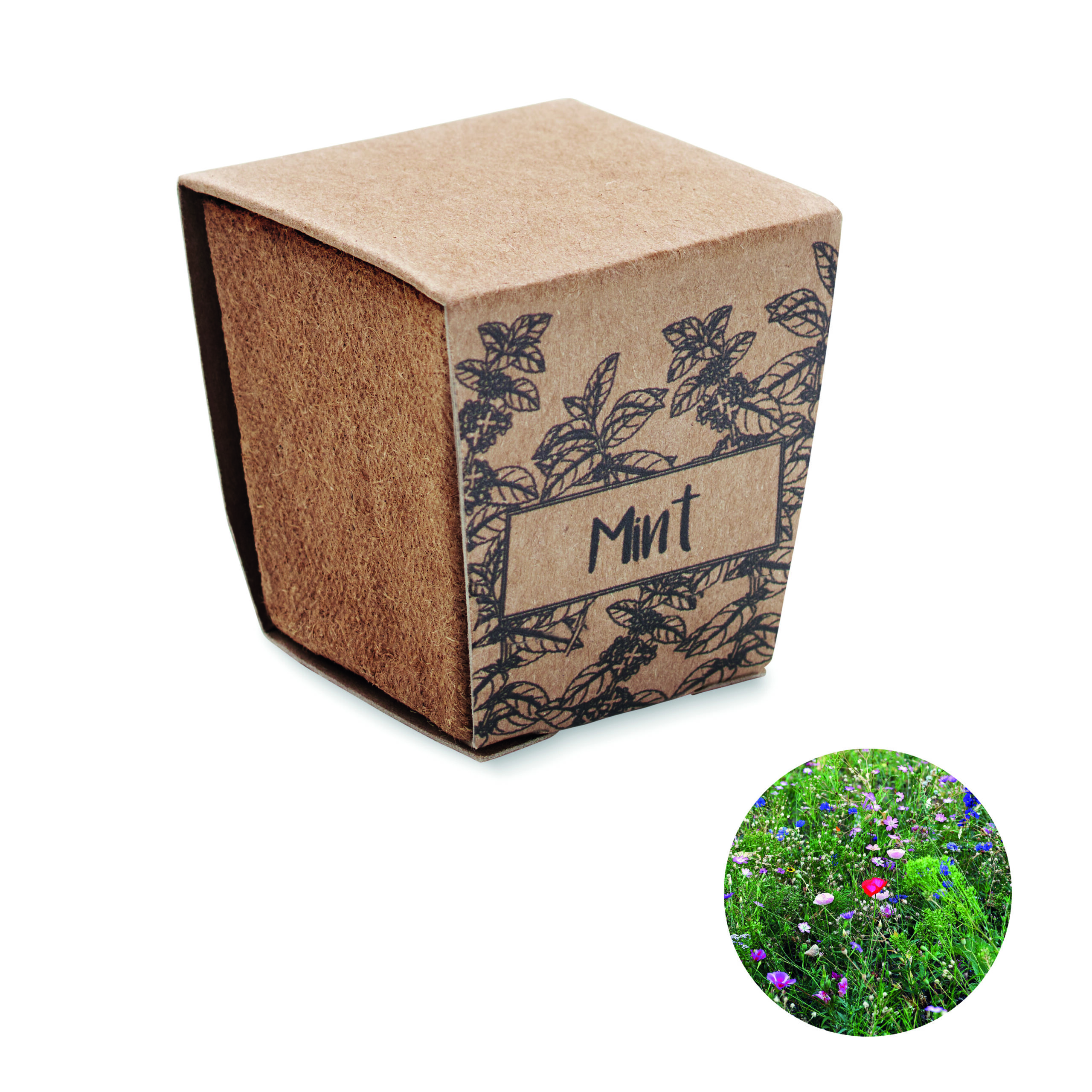 Kit de graines de menthe