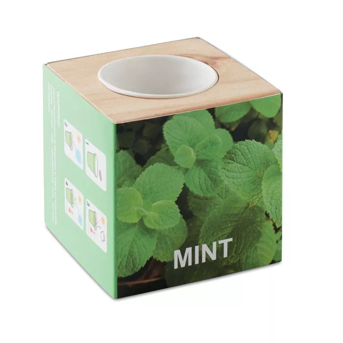 MENTA – Bois