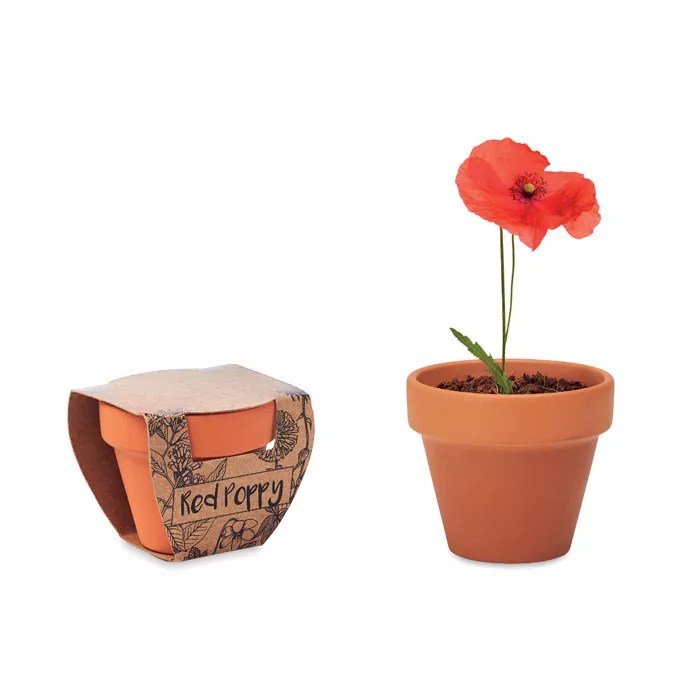 RED POPPY – Bois