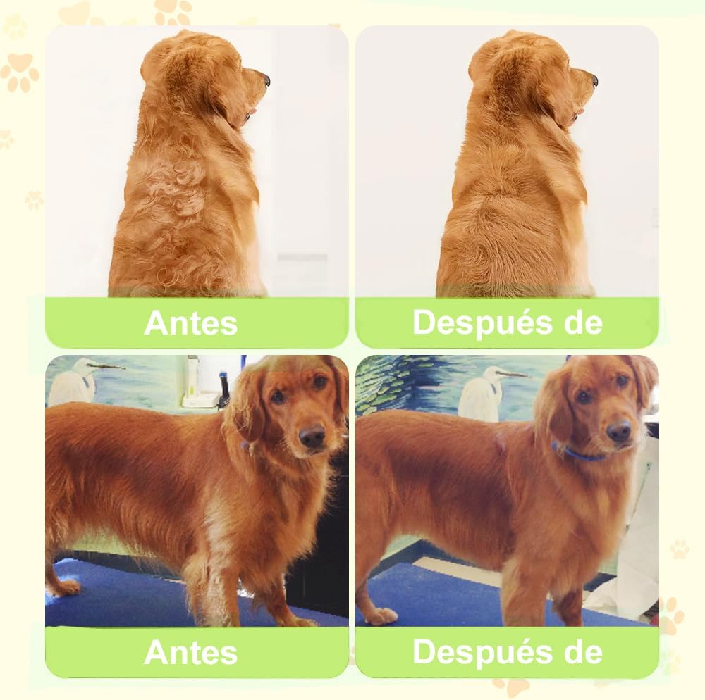 Cepillo  Vaporizador Mascotas quitapelos