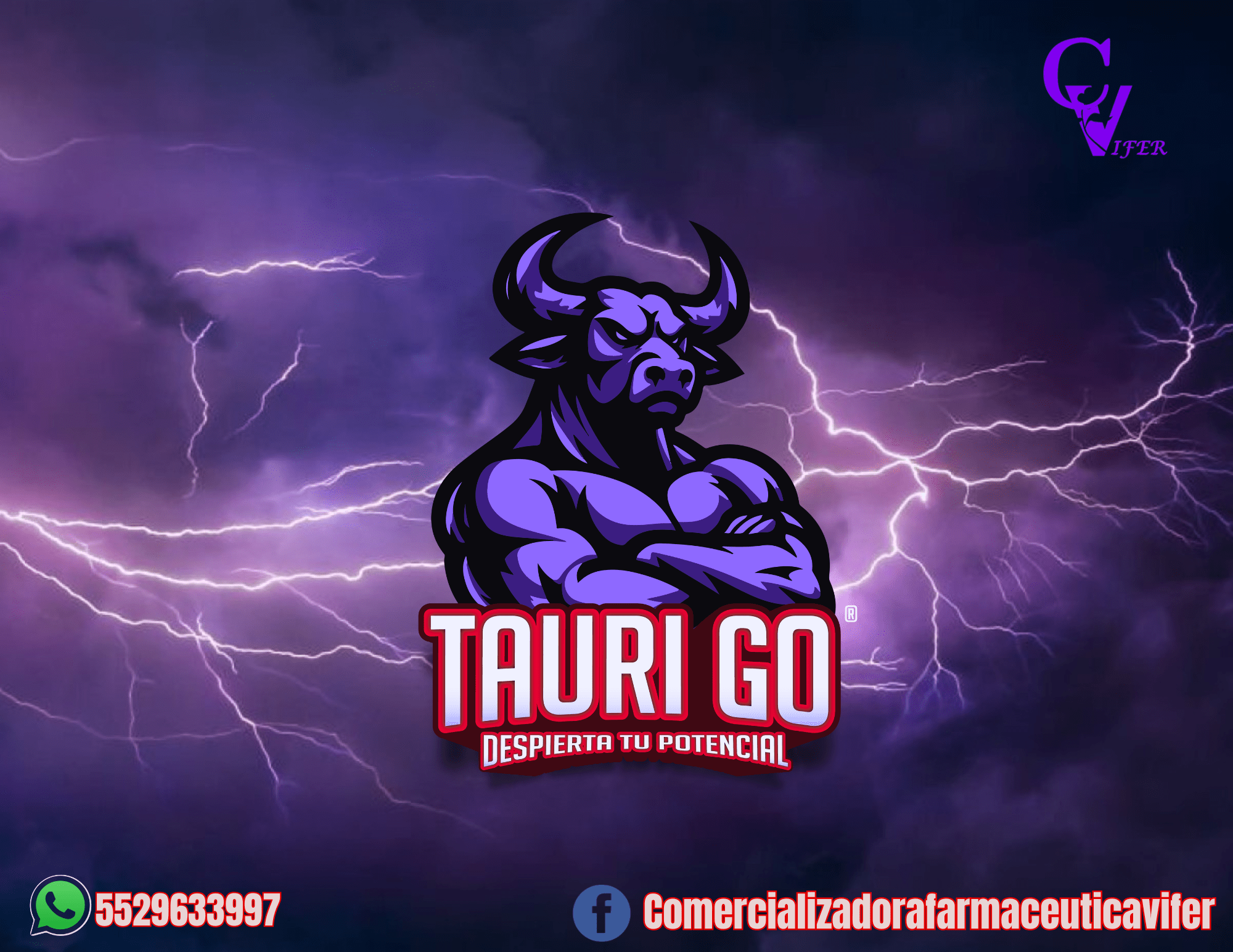 TAURI-GO