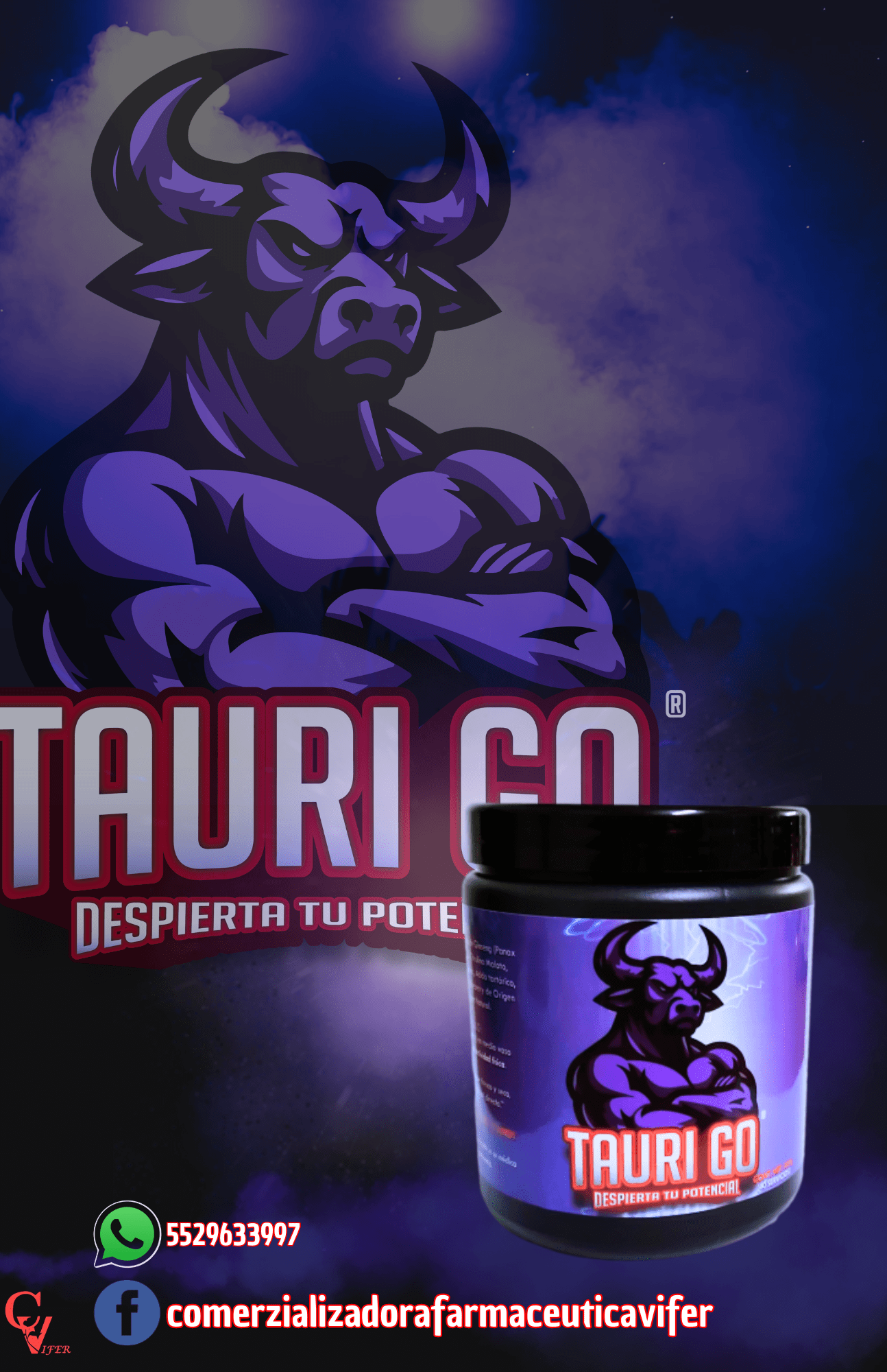 TAURI-GO