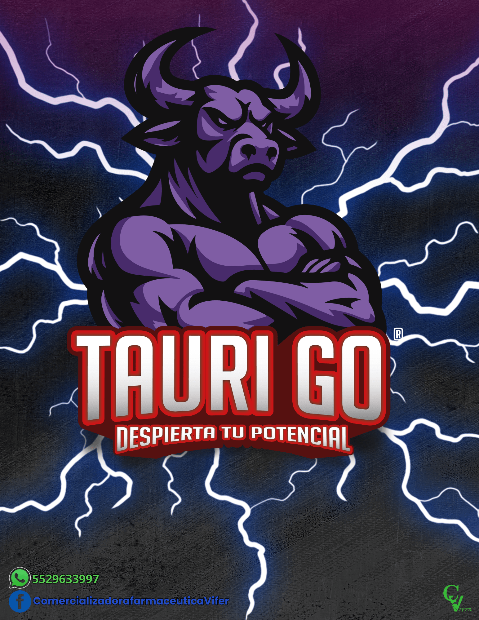 TAURI-GO