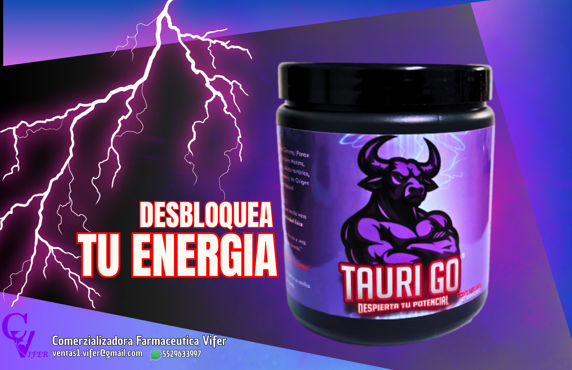 TAURI-GO
