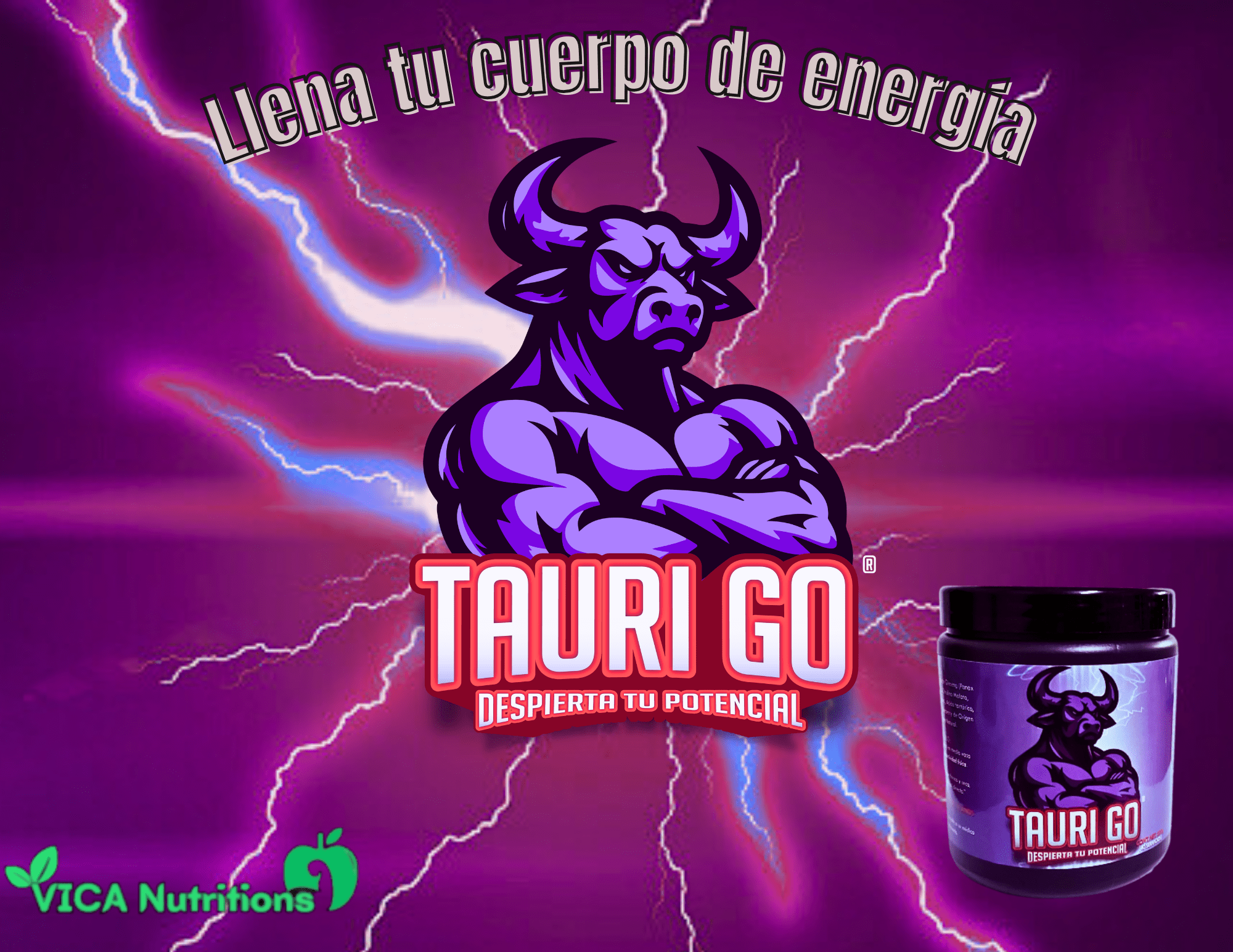 TAURI-GO